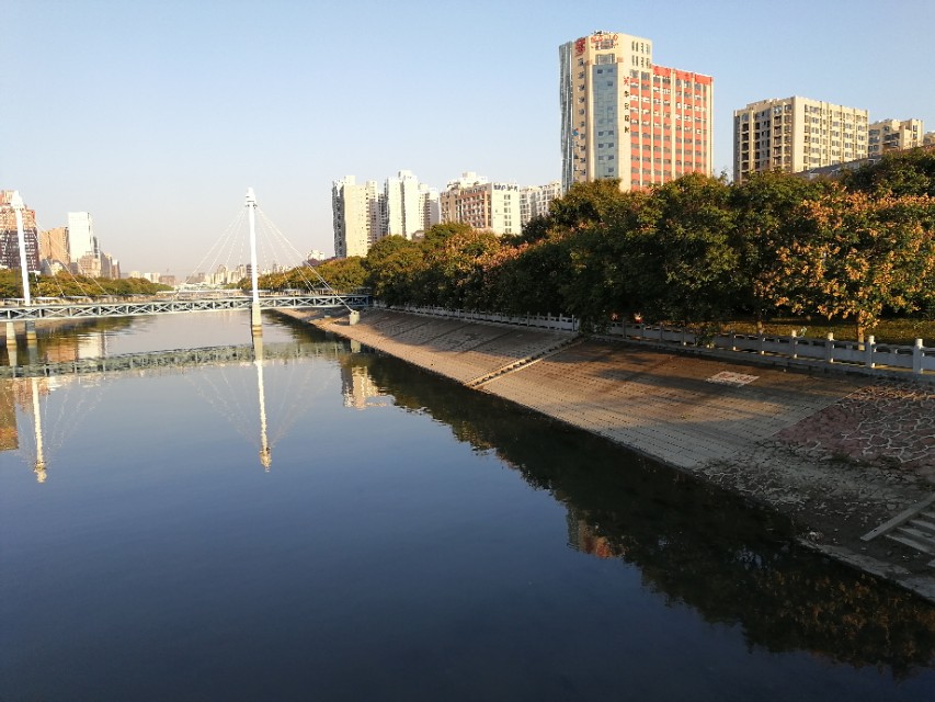 郑州买的鲜羊奶,郑州鲜羊奶市场