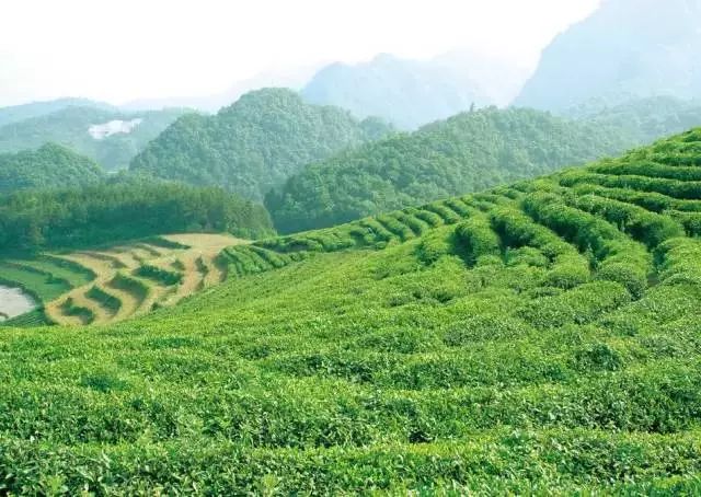 成都周边9个最受追捧的古镇!周末带孩子感受这里的古韵!