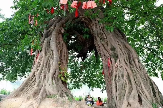 成都周边9个最受追捧的古镇!周末带孩子感受这里的古韵!