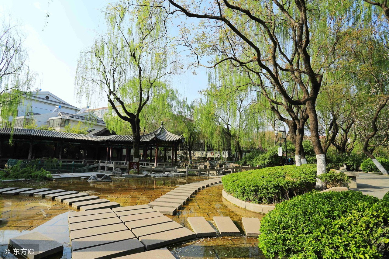 云南大理张家花园视频,大理张家花园最新视频