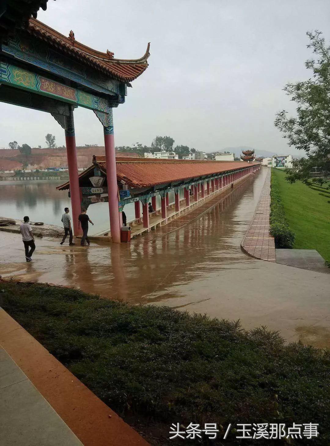 出门怕堵，在家无聊，只用89元就可以走完玉溪这些景区！