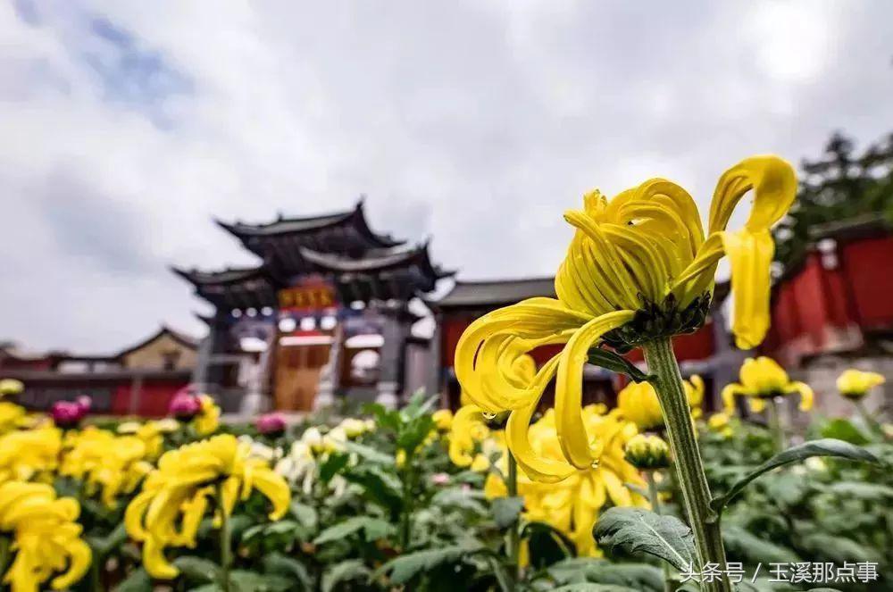 出门怕堵，在家无聊，只用89元就可以走完玉溪这些景区！