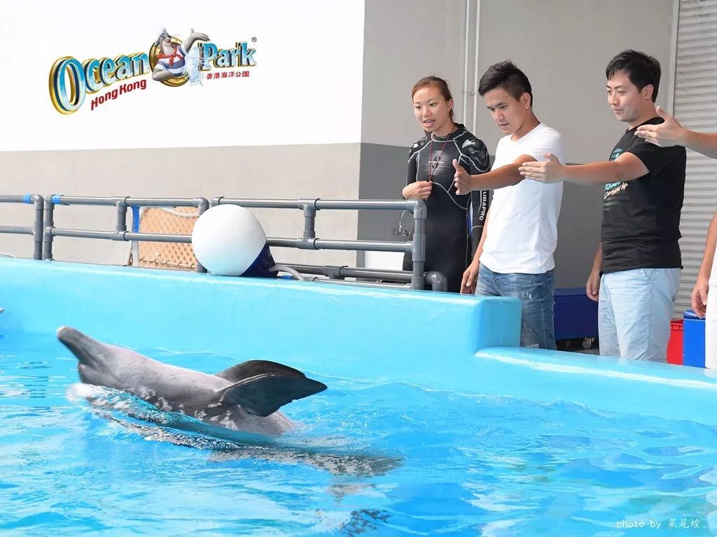 乘高铁游香港快捷又方便,坐高铁怎么样去珠海长隆海洋乐园