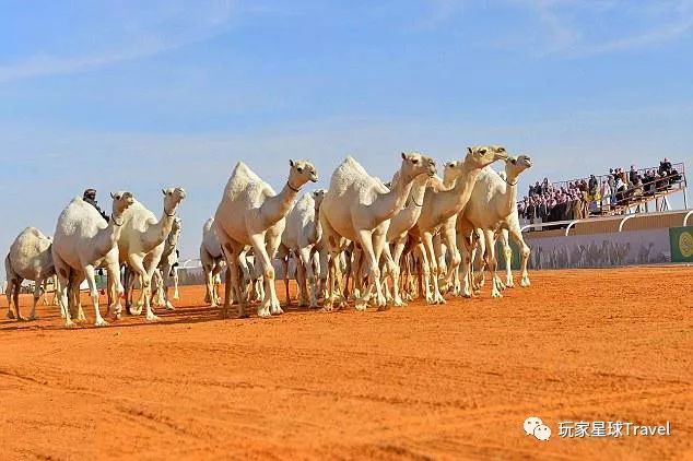 土豪城市,你只知道迪拜超级low了!阿布扎比了解一下
