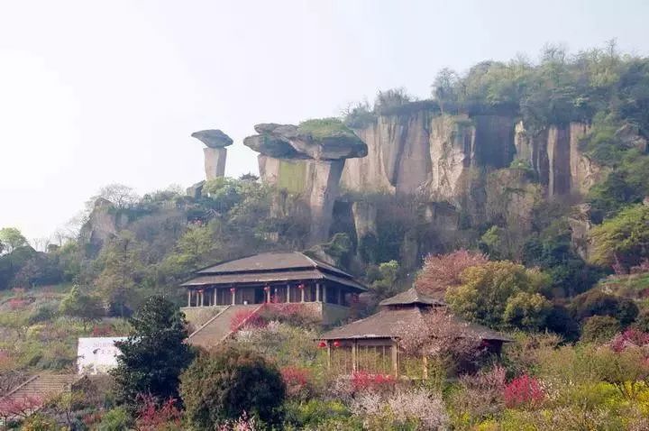 国庆小长假，绍兴这里的美丽乡村，邀您去体验村居生活的趣味与多彩