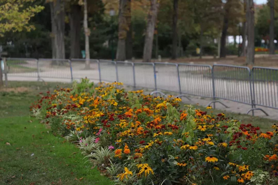 王妃品牌衣服,盘点最会买东西的女人