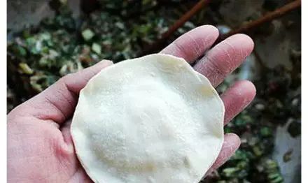 学会包饺子简单又好吃,教你包饺子好看又好吃