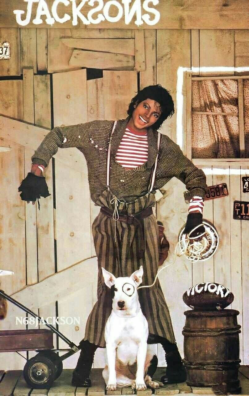 明星承受能力,明星要有多大的承受力