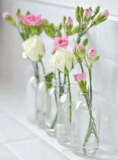 0基础插花自学教程大全,插花零基础能学会不