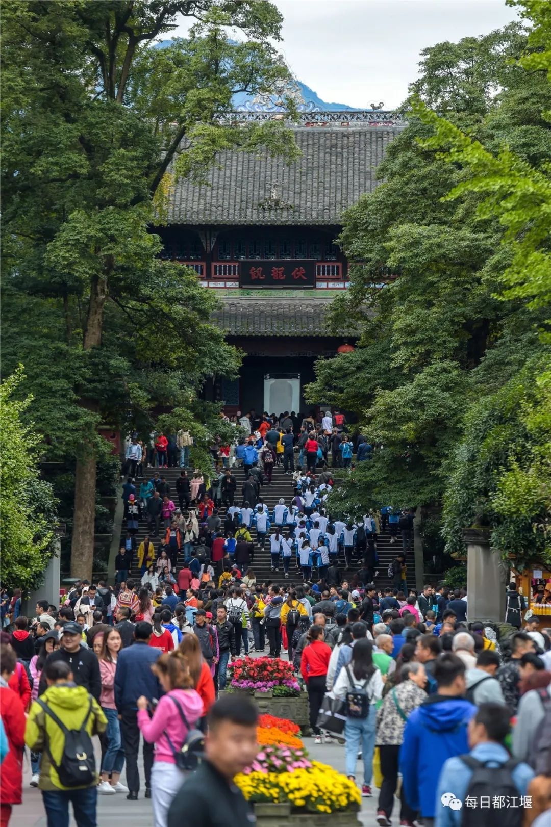 都江堰青城康养,都江堰青城康养中心