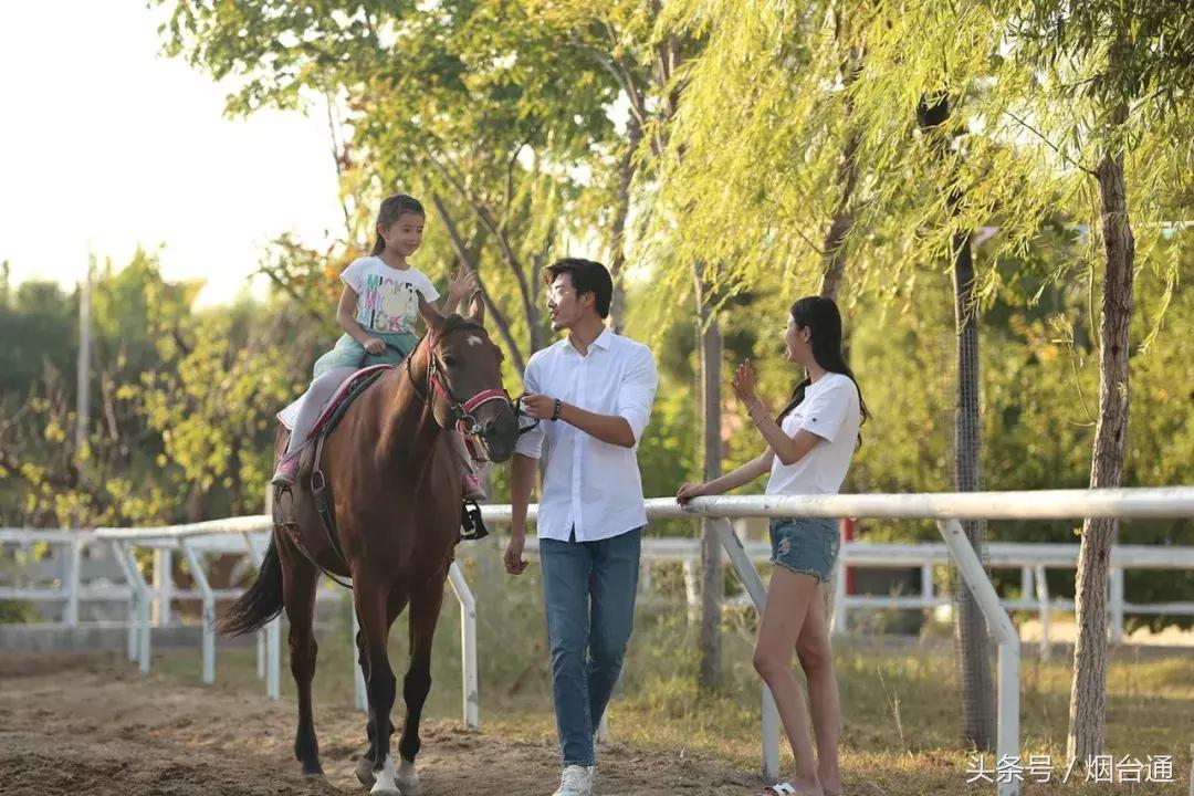 烟台十一景区免费游玩,十一假期旅游推荐烟台游乐场