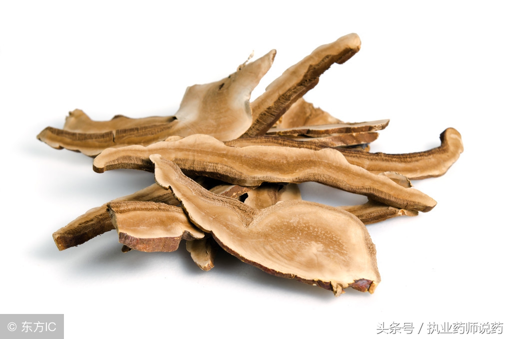 脂肪肝中药怎么治疗好得快,人工肝治疗脂肪肝的最佳方法