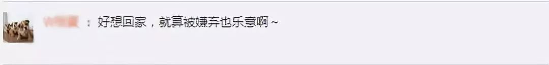 来一碗靓汤结束假期,冬天给家人来一碗爱心汤