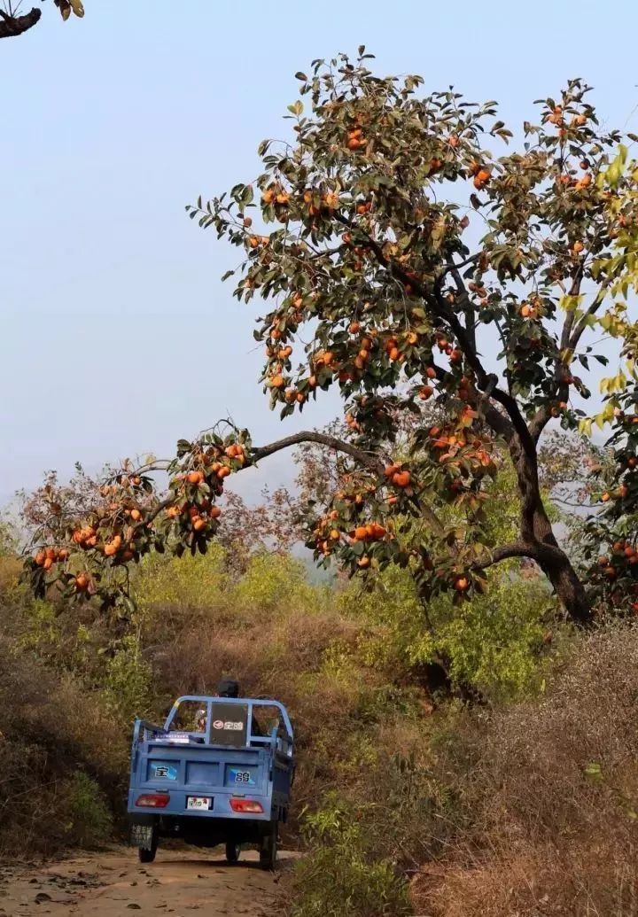 河北保定易县古村,易县最好的古村
