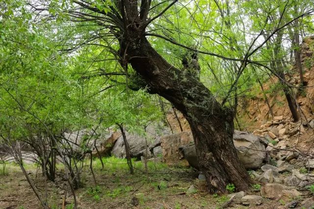 河北保定易县古村,易县最好的古村