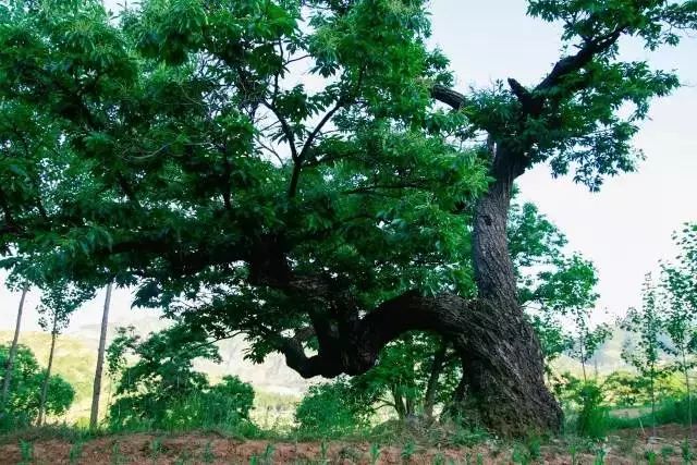 河北保定易县古村,易县最好的古村