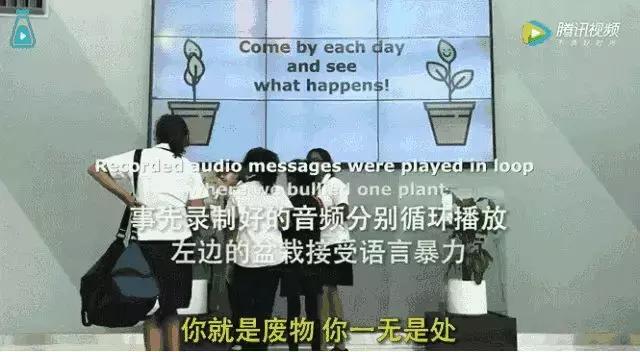 被刀子嘴毁掉的家庭,被那些刀子嘴豆腐心毁掉的家庭