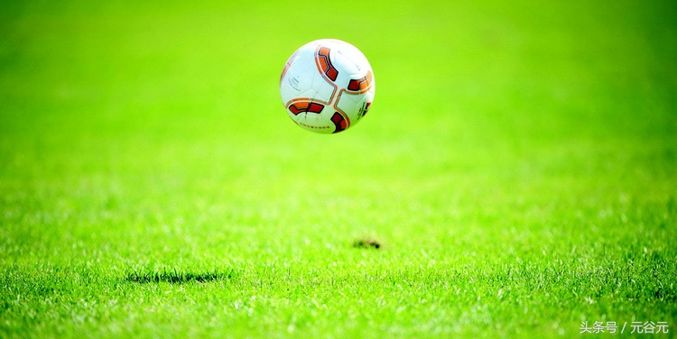 为国家健儿点赞,为我国运动员点赞