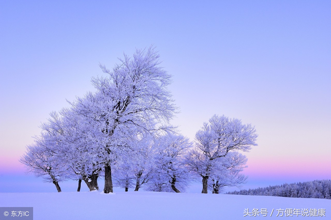 老寒腿又发作了,老寒腿一直疼怎么办