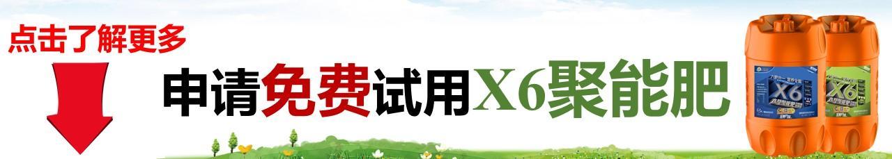 新型肥料的发展趋势,液体肥肥料市场的新宠