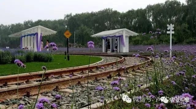 高端庄园设计案例欣赏,生态庄园案例