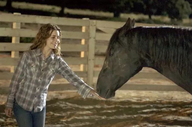 好看的外国大片推荐,外国经典大片电影推荐