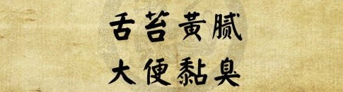 湿热体质是中药调理是吗,湿热体质人适合吃什么药调理