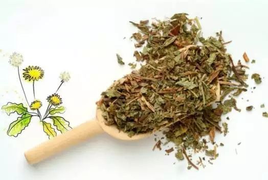 湿热体质是中药调理是吗,湿热体质人适合吃什么药调理