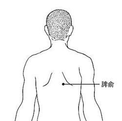 回家就是躺着不想动,回家就想躺是不是气血不足