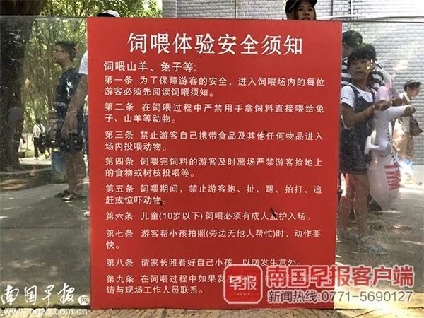 孩子喂兔子被兔子咬了,动物园兔子咬伤人是谁的责任