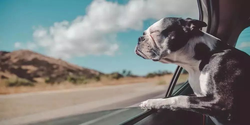 七天的距离，还是放不下你！