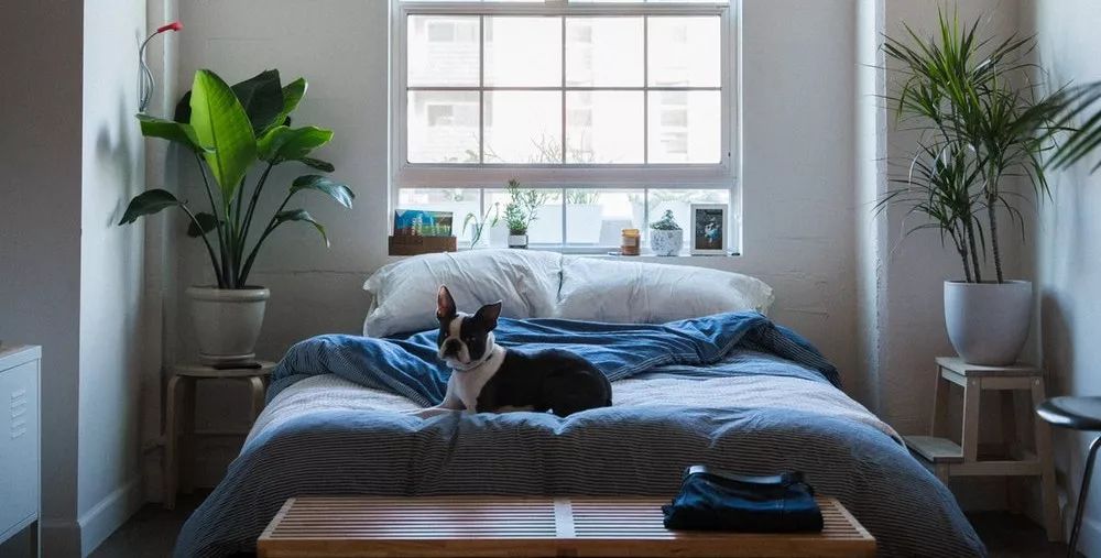 七天的距离，还是放不下你！