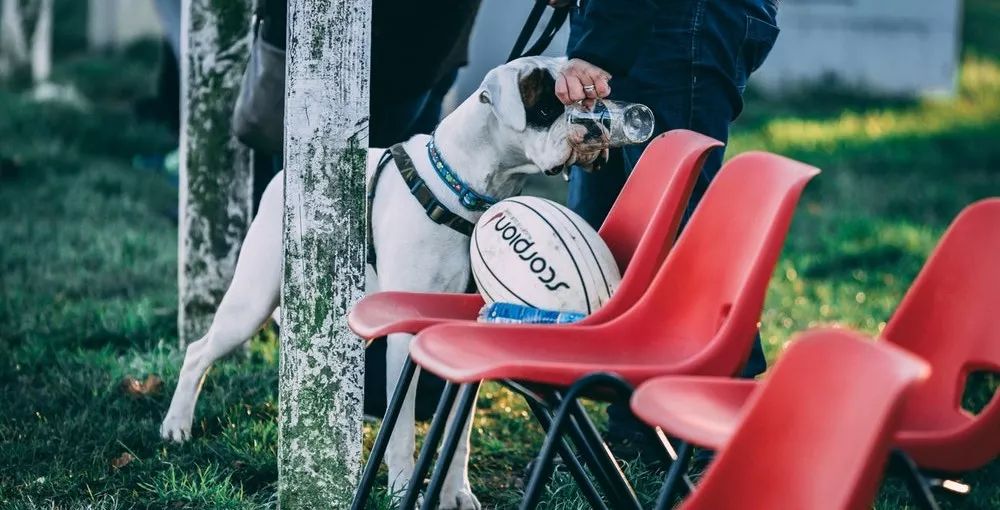 七天的距离，还是放不下你！