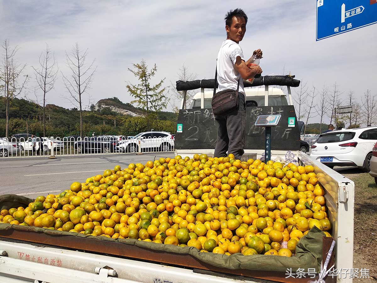 宜昌流动卖橙子,宜昌蜜桔市场好卖吗