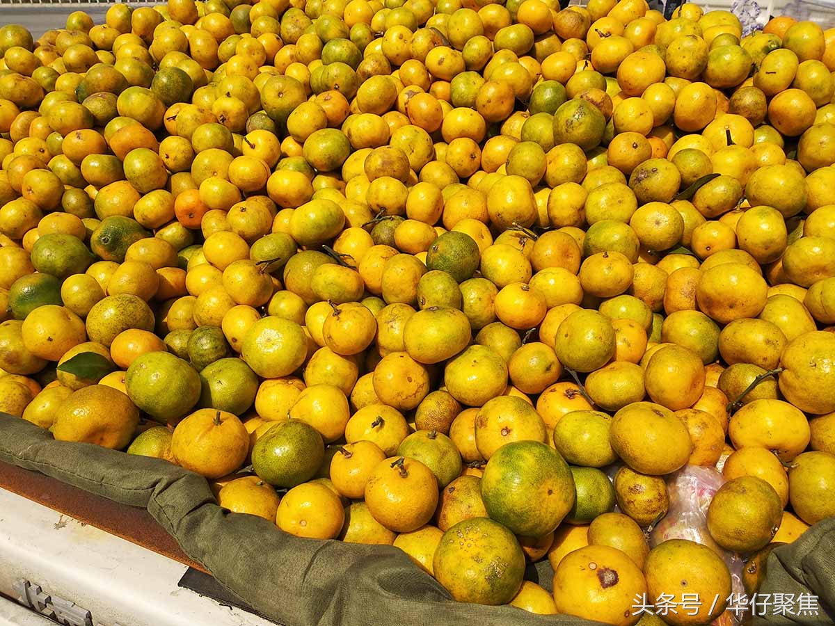 宜昌流动卖橙子,宜昌蜜桔市场好卖吗