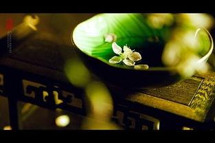 柳永写秋天的词,柳永咏秋诗词大全