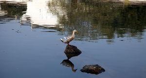 柳永写秋天的词,柳永咏秋诗词大全