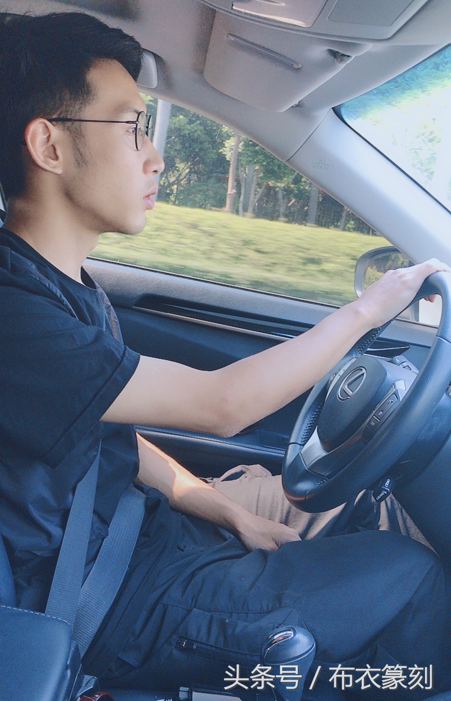 福建书法陈婷筠,陈婷筠个人资料