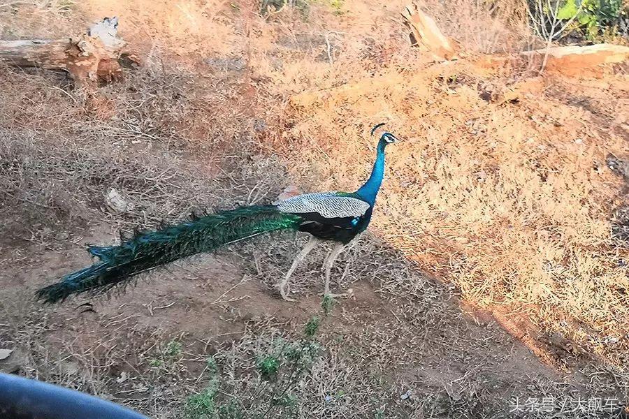 印象斯里兰卡全景,旅行记斯里兰卡