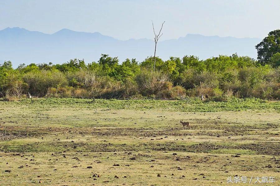 印象斯里兰卡全景,旅行记斯里兰卡