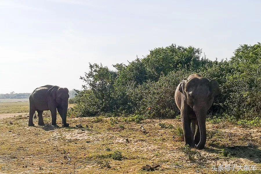 印象斯里兰卡全景,旅行记斯里兰卡