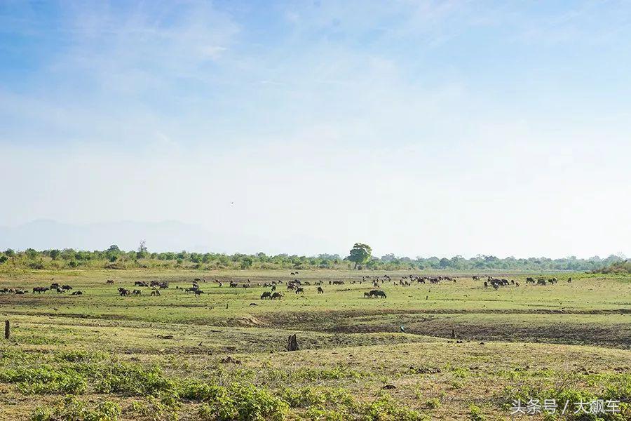印象斯里兰卡全景,旅行记斯里兰卡
