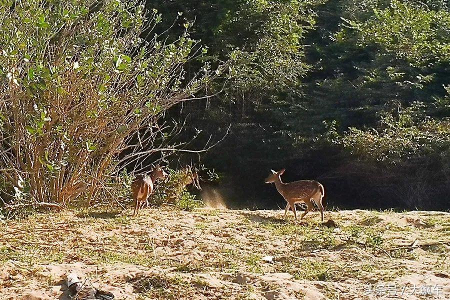 印象斯里兰卡全景,旅行记斯里兰卡