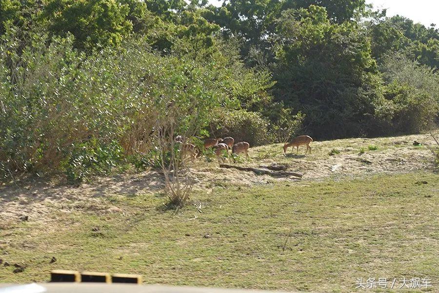 印象斯里兰卡全景,旅行记斯里兰卡