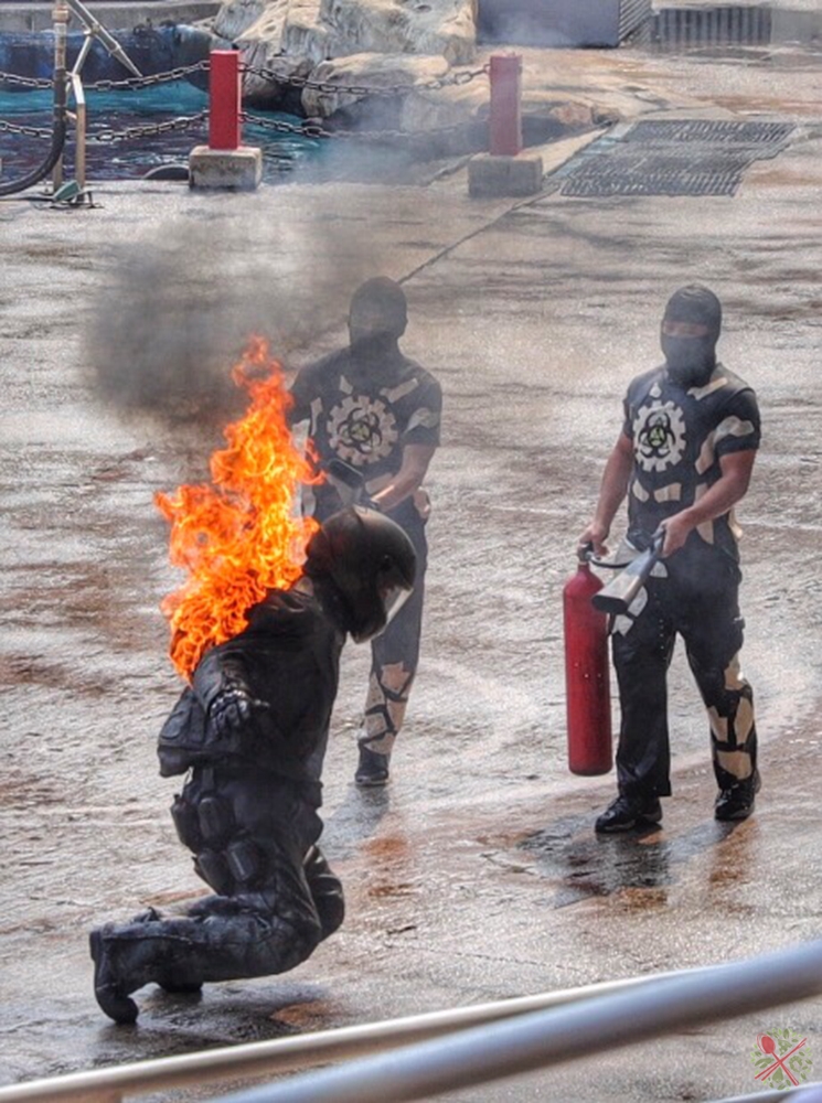 广州长隆四个乐园攻略,国庆长隆二日游