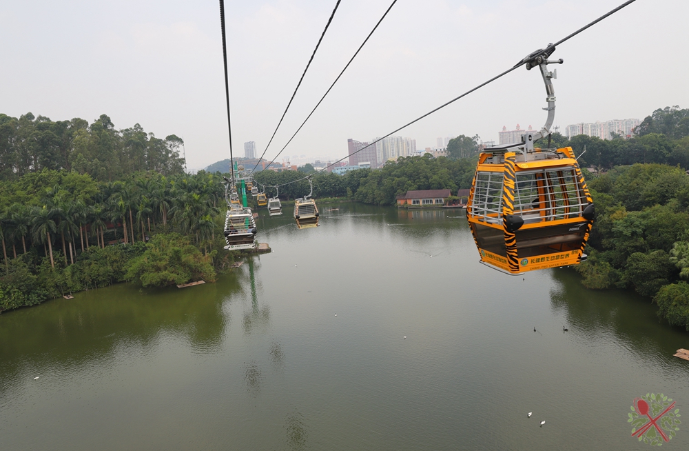 广州长隆四个乐园攻略,国庆长隆二日游