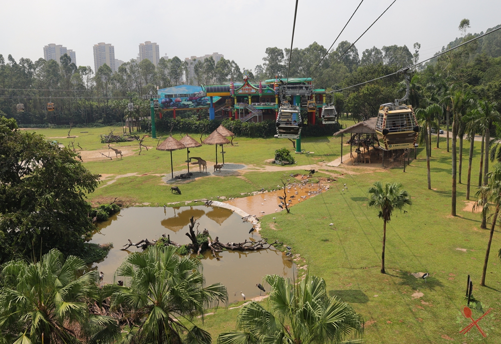 广州长隆四个乐园攻略,国庆长隆二日游