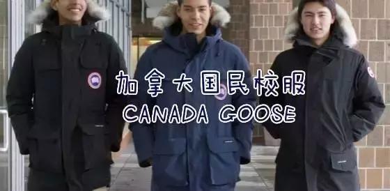 加拿大鹅什么时候涨价,加拿大鹅哭了的视频