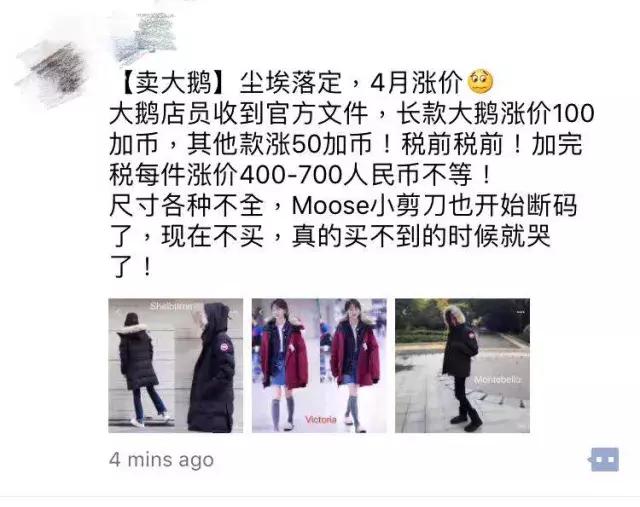 加拿大鹅什么时候涨价,加拿大鹅哭了的视频