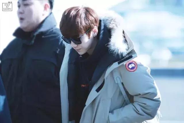 加拿大鹅什么时候涨价,加拿大鹅哭了的视频